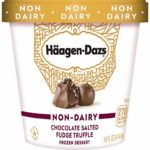Non-Dairy Chocolate Salted Fudge Truffle Haagen Dazs